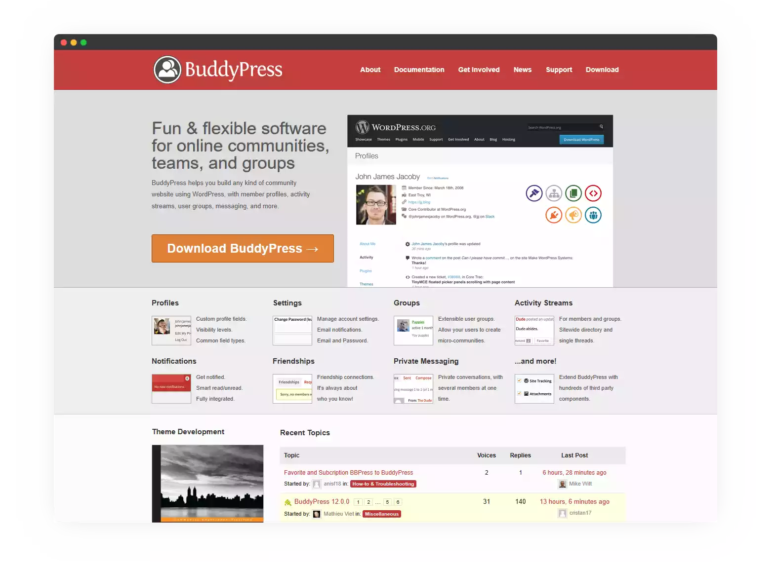 BuddyPress Social Media Plugin